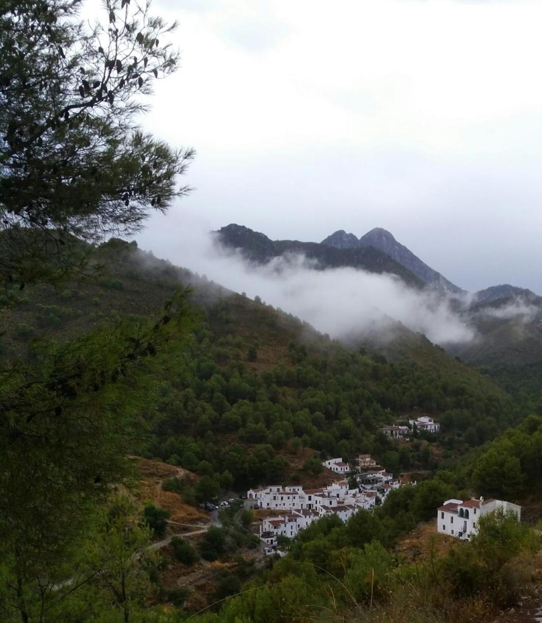 B&B The Lost Village El Acebuchal Frigiliana Exterior foto